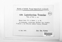Titaeosporina tremulae image